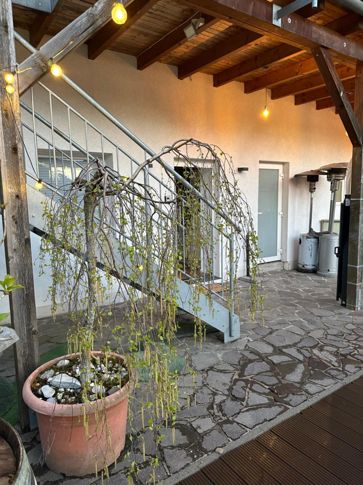 Mola Apartments-Charmante Ferienwohnung Im Herdecke Zentrum Fuer 3 Personen-Grosse Dachterrasse-Grill-Gratis Parken-Wlan ภายนอก รูปภาพ